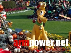 Polska Kadra w DisneyLand # Armwrestling # Armpower.net