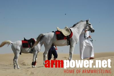 Vendetta in Dubai - preparing # Armwrestling # Armpower.net