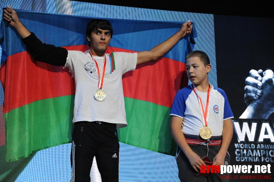 World Armwrestling Championship 2013 - photo: Irina # Siłowanie na ręce # Armwrestling # Armpower.net