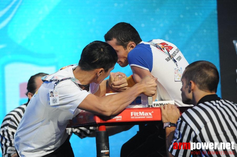 World Armwrestling Championship 2013 - photo: Irina # Armwrestling # Armpower.net