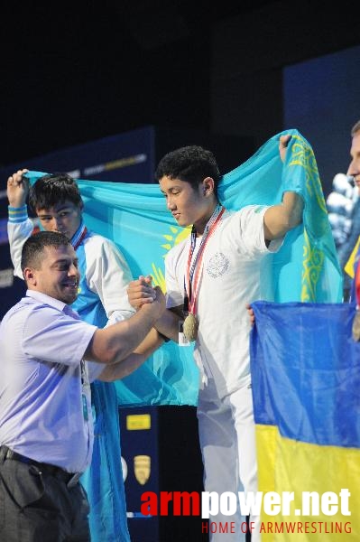 World Armwrestling Championship 2013 - photo: Irina # Aрмспорт # Armsport # Armpower.net