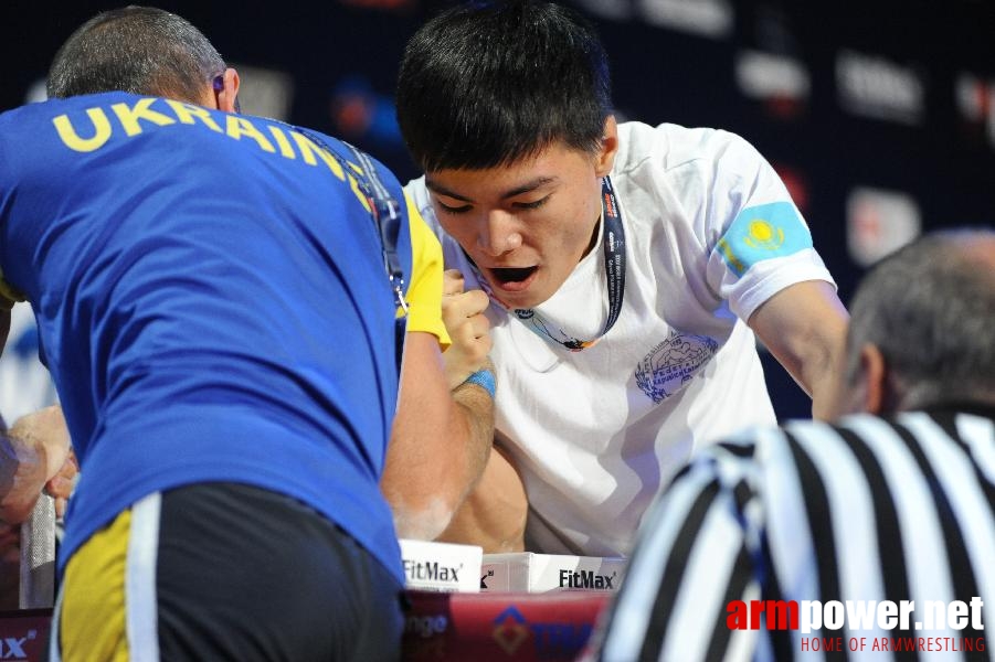 World Armwrestling Championship 2013 - photo: Irina # Armwrestling # Armpower.net