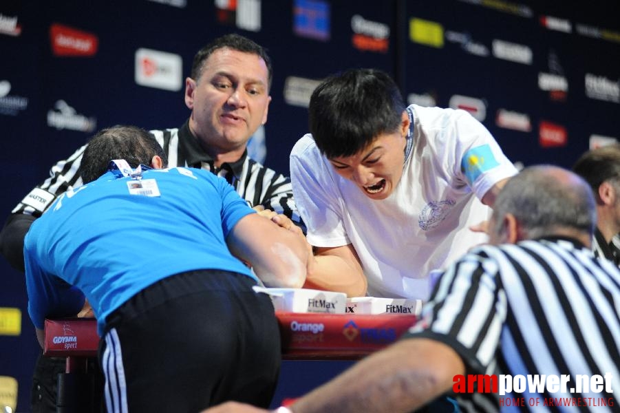 World Armwrestling Championship 2013 - photo: Irina # Armwrestling # Armpower.net