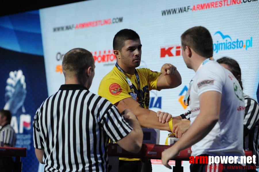 World Armwrestling Championship 2013 - photo: Irina # Armwrestling # Armpower.net