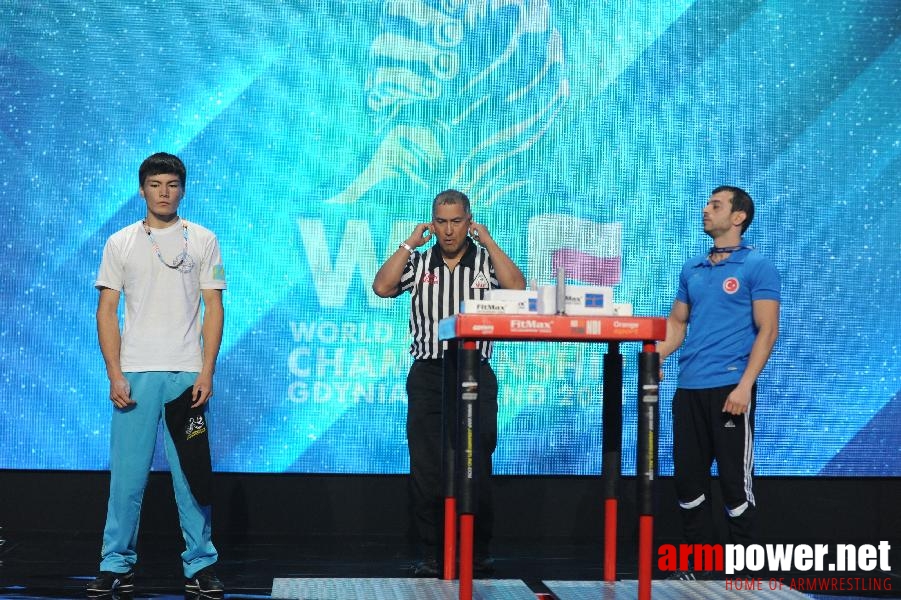 World Armwrestling Championship 2013 - photo: Irina # Aрмспорт # Armsport # Armpower.net