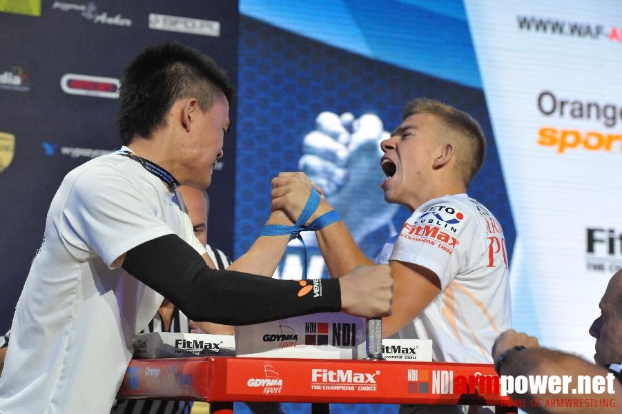 World Armwrestling Championship 2013 - day 1 - photo: Mirek # Armwrestling # Armpower.net