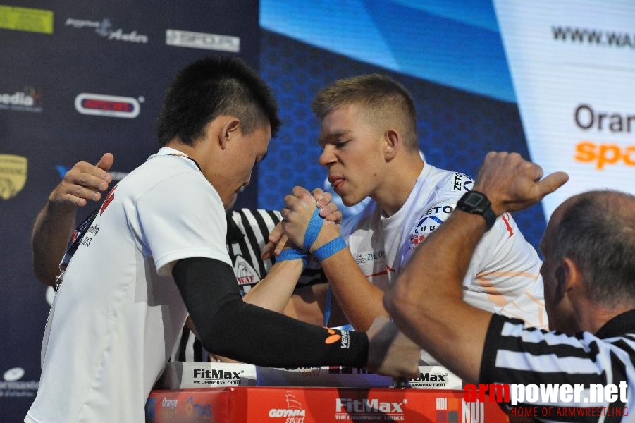 World Armwrestling Championship 2013 - day 1 - photo: Mirek # Aрмспорт # Armsport # Armpower.net