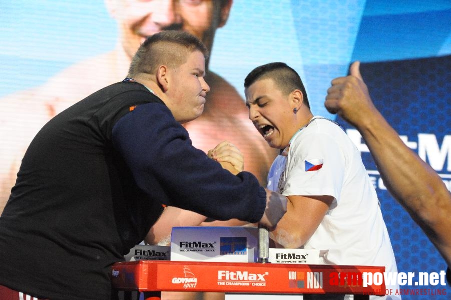 World Armwrestling Championship 2013 - day 1 - photo: Mirek # Aрмспорт # Armsport # Armpower.net