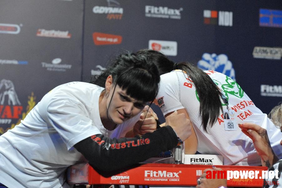 World Armwrestling Championship 2013 - day 1 - photo: Mirek # Aрмспорт # Armsport # Armpower.net