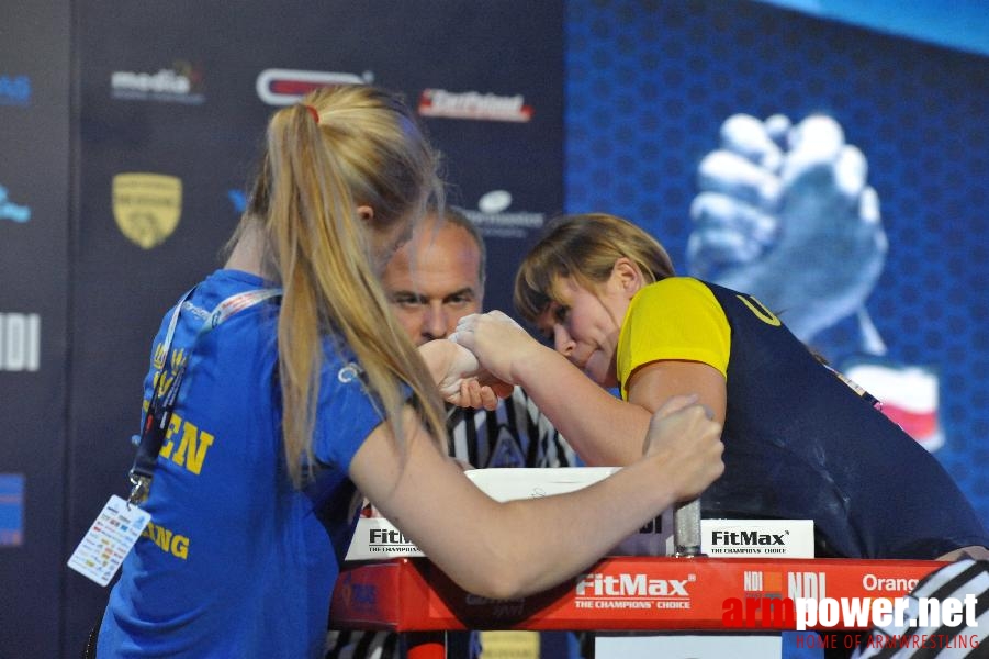 World Armwrestling Championship 2013 - day 1 - photo: Mirek # Aрмспорт # Armsport # Armpower.net