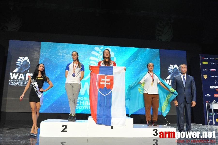 World Armwrestling Championship 2013 - day 1 - photo: Mirek # Aрмспорт # Armsport # Armpower.net