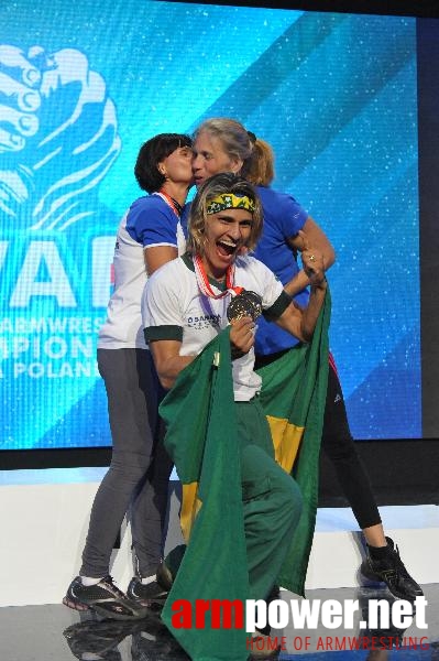 World Armwrestling Championship 2013 - day 1 - photo: Mirek # Aрмспорт # Armsport # Armpower.net