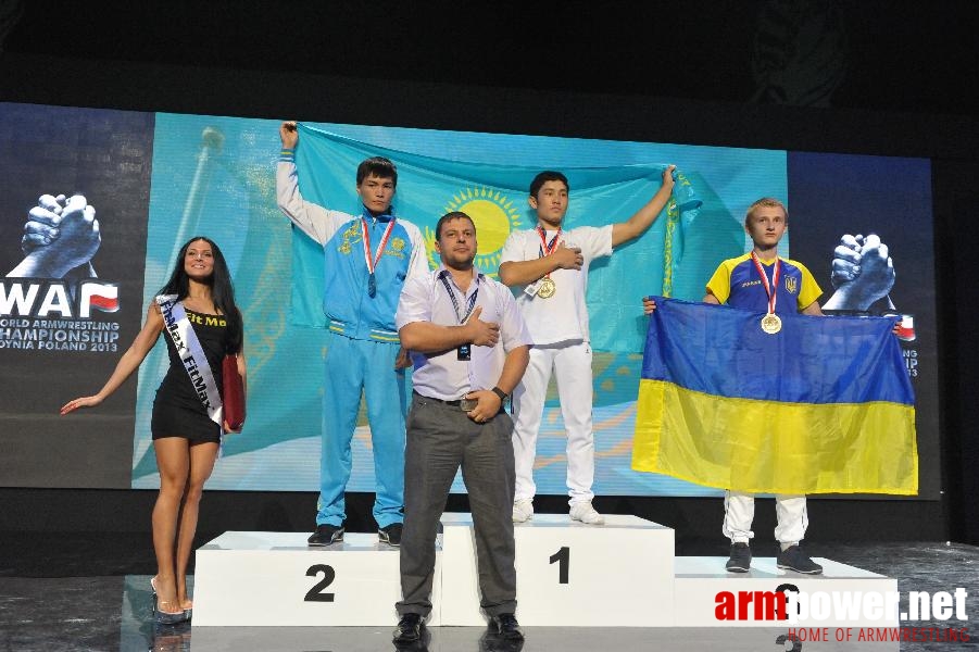 World Armwrestling Championship 2013 - day 1 - photo: Mirek # Aрмспорт # Armsport # Armpower.net