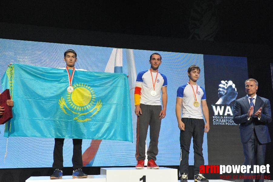 World Armwrestling Championship 2013 - day 1 - photo: Mirek # Aрмспорт # Armsport # Armpower.net