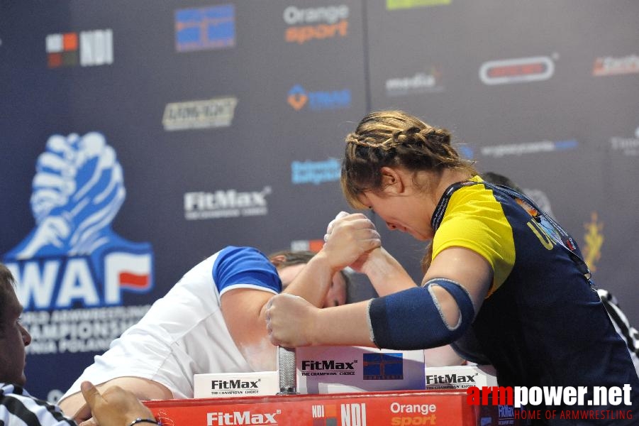 World Armwrestling Championship 2013 - day 2 - photo: Mirek # Aрмспорт # Armsport # Armpower.net