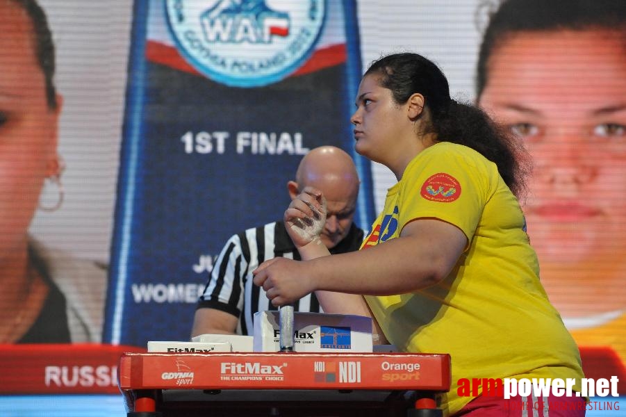 World Armwrestling Championship 2013 - day 2 - photo: Mirek # Aрмспорт # Armsport # Armpower.net