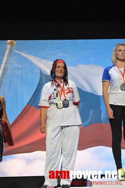 World Armwrestling Championship 2013 - day 2 - photo: Mirek # Aрмспорт # Armsport # Armpower.net