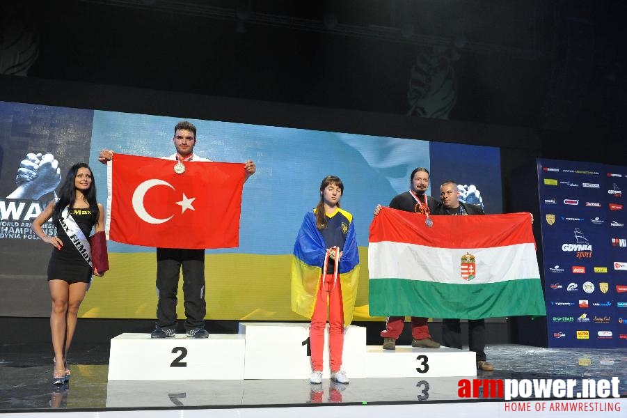 World Armwrestling Championship 2013 - day 2 - photo: Mirek # Siłowanie na ręce # Armwrestling # Armpower.net