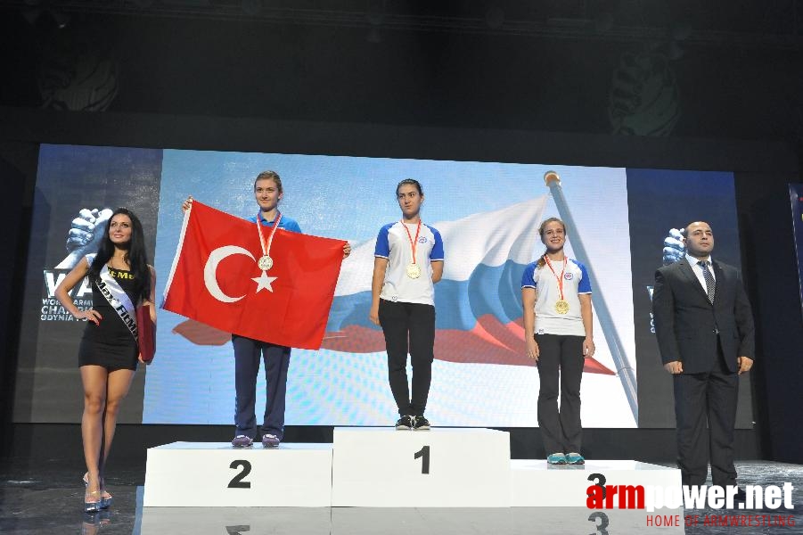 World Armwrestling Championship 2013 - day 2 - photo: Mirek # Aрмспорт # Armsport # Armpower.net