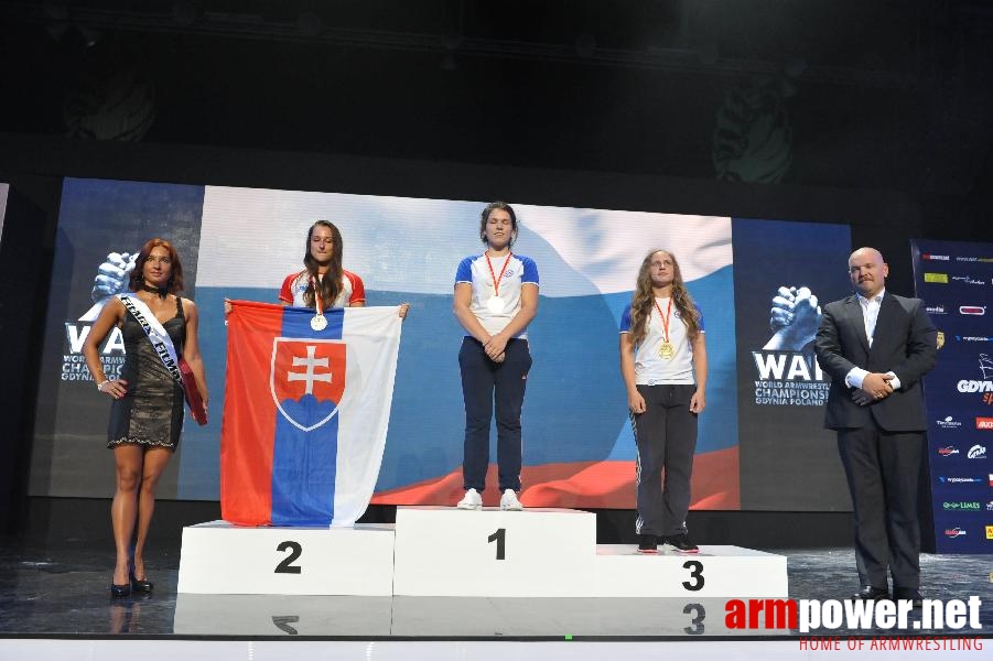 World Armwrestling Championship 2013 - day 2 - photo: Mirek # Siłowanie na ręce # Armwrestling # Armpower.net