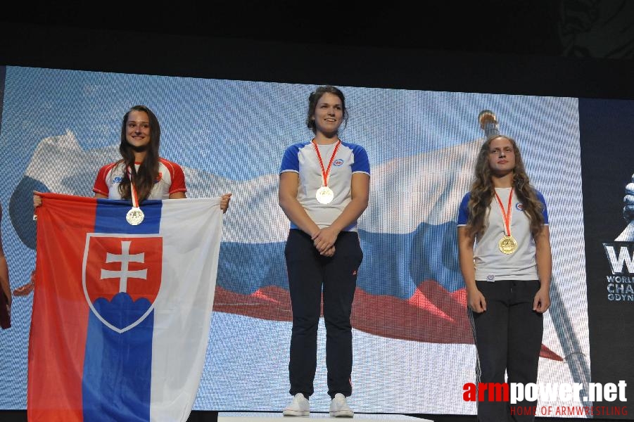 World Armwrestling Championship 2013 - day 2 - photo: Mirek # Aрмспорт # Armsport # Armpower.net