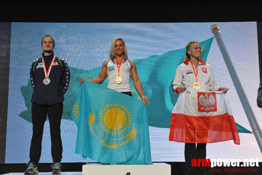 World Armwrestling Championship 2013 - day 3 - photo: Mirek # Aрмспорт # Armsport # Armpower.net