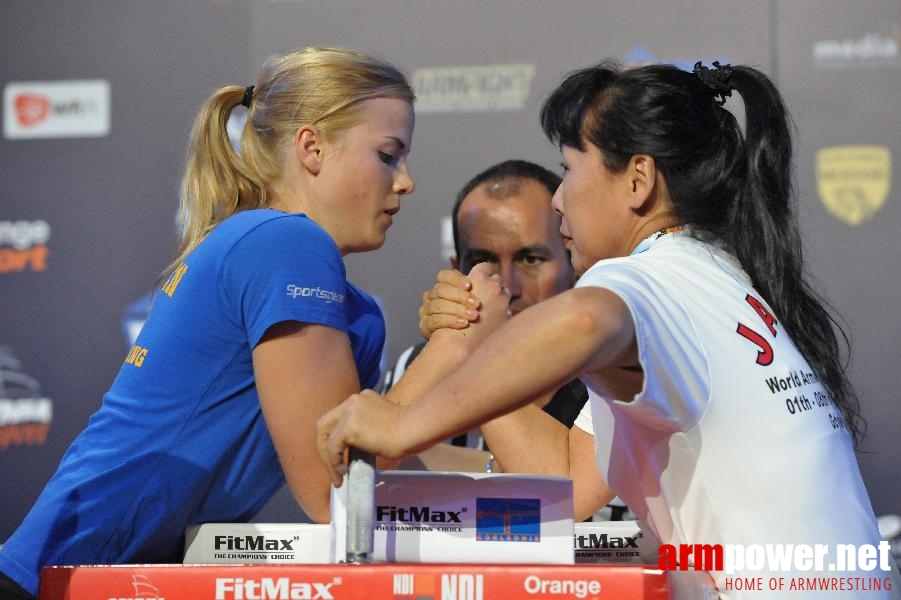 World Armwrestling Championship 2013 - day 4 - photo: Mirek # Aрмспорт # Armsport # Armpower.net