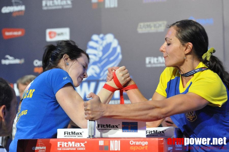 World Armwrestling Championship 2013 - day 4 - photo: Mirek # Aрмспорт # Armsport # Armpower.net