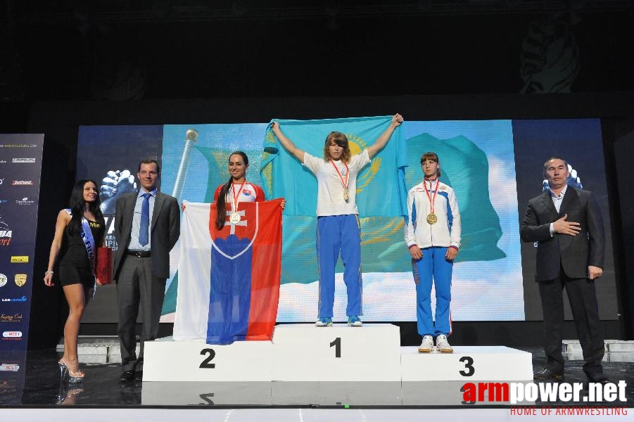 World Armwrestling Championship 2013 - day 4 - photo: Mirek # Aрмспорт # Armsport # Armpower.net