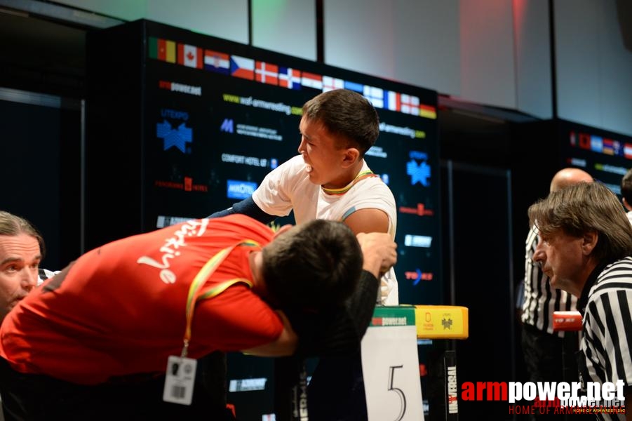 World Armwrestling Championship 2014 - day 3 # Aрмспорт # Armsport # Armpower.net