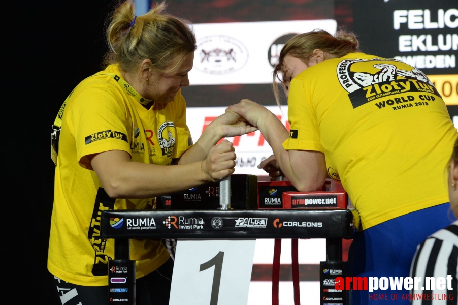 Zloty Tur 2018 - eliminations left hand # Siłowanie na ręce # Armwrestling # Armpower.net